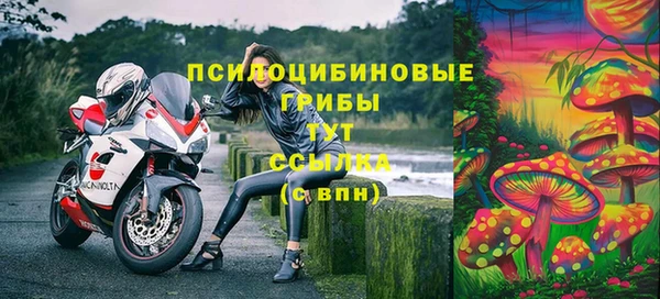 тгк Арсеньев
