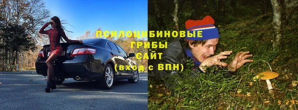 тгк Арсеньев
