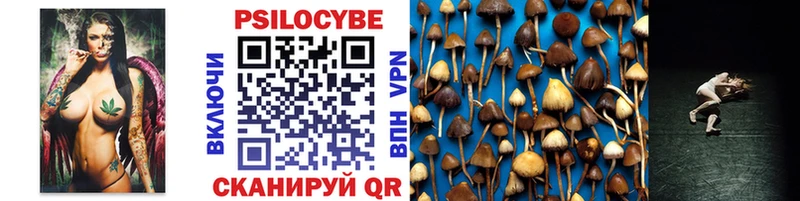 Галлюциногенные грибы Psilocybine cubensis Советский